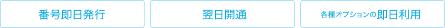 番号即日発行 翌日開通 各種オプションの即日利用